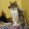 Отзыв от София Судакова